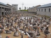 ���T(m��n)�Z��r(ji��)��|�V���Z��r(ji��)��(�D)