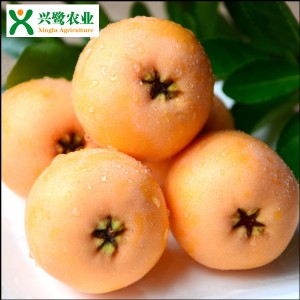 �ؑc�����繩��(y��ng)������Ʒ�N�r(ji��)�񣬹�������