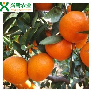 �ؑc������r���ؑc�����繩�����ؑc������Ʒ�N