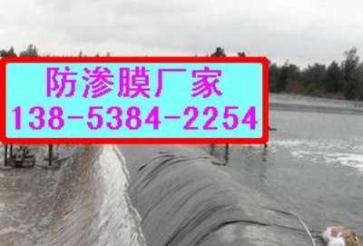 �������B����Ĥ�������S��