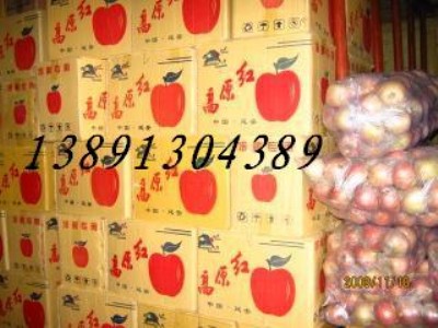 ����O���r�����t��ʿ�O�����ؼt��ʿ�O���a������