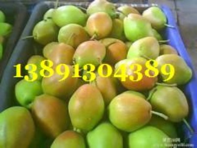 ������젖������a�����l�r��