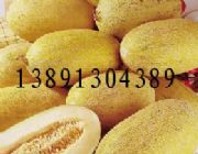 ���l���ܹ�/���ܹϻ���/������ܹσr��/���ܹ�����