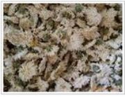 �ջ���ȡ��Florists Send(�D)