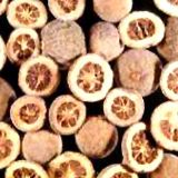 ������Synephrine HCL(�D)