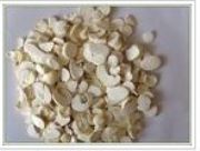 �S����ȡ��Astragalus P.(�D)