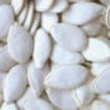 �ش���ϹϷN�ӣ��׹���Ʒ�N��