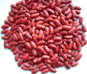 Ӣ���t�|���N��