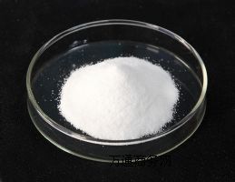 �T�������B����