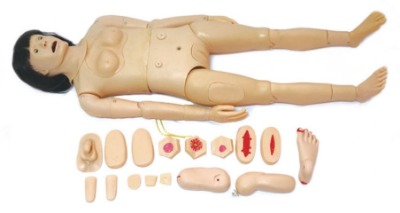 ���t(y��)�W�߼�ȫ�����o����Ӗ��ģ�ͣ�Ů�ԣ�