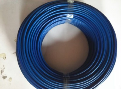 �����z�����w�S�׹�