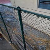 �W(xu��)У�w���Gɫ���ڣ��w�������o���W(w��ng)�S�ң��\�ӈ��ظ��x�þW(w��ng)