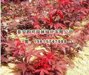 �W�޼t�����أ�ɽ�|���|�W�޼t��С�����l