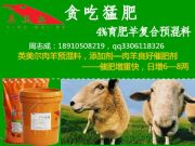 ����ɽ���������A���� ���������A����