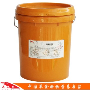 ���ιʲô�̷� ��������