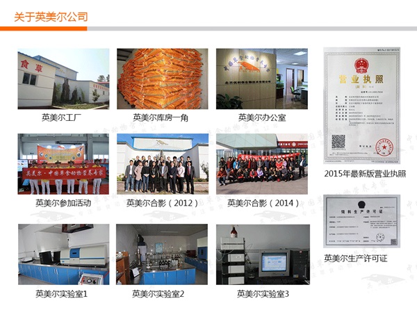 ţ�A���� Ӣ����ţ�A����