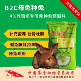 �N�îa�ж���ʲô�A���� �N���A����