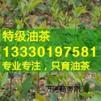 �Ĵ��Ͳ���|���e|��ؕ���Ͳ����r���Ƕ����Xһ��