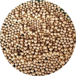 ���ӺY-ɽ�|�пղ������ӺYҎ(gu��)��