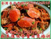 去哪學習麻辣蟹爪正宗蟹肉煲培訓河南鮮蝦煲培訓