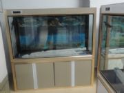 【大學(xué)生創(chuàng)業(yè)】水族箱加盟等你來