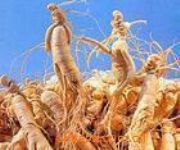 ������ͪ ���Ƥ��  ���_ͤ��Ԫ ��ꖅ���Ԫa