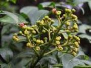 ����(y��ng)��κ������ ؐĸ�ؼ� ؐĸ���� �B�N��