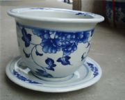 ���⻨�趨�� �մɻ������l �մɻ���r��