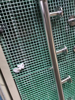 ���P�F�g��Һ