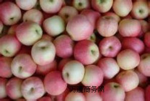 �����H���t��ʿ�O���������؃r��