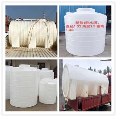 5���������ޏS��