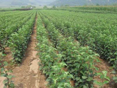 �����O�����O����r��ռ���O�����O�������l