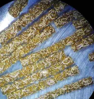 ë�~�ۡ�fuzz buttons���|��