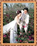 ����3D���w�鼆��Ƭ����(�D)