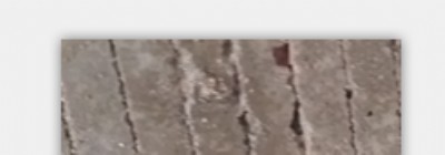 ɽ�|�Ͳ��߉�ˮ��������ë������