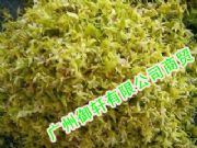 ���l(f��)�FƤʯ�����⣩��   �{(di��o)��(j��ng)ֹѪ