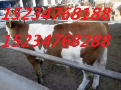 �������D�ͼ�����ţ��ţ12