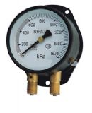 �����pᘉ�����(�D)