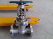 Z41W���P䓷��m�l�y