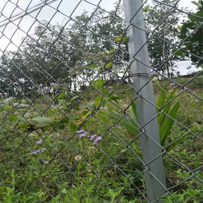 河北鍍鋅菱形編織網廠家江門煤礦專用支護網肇慶煤礦機編安全網