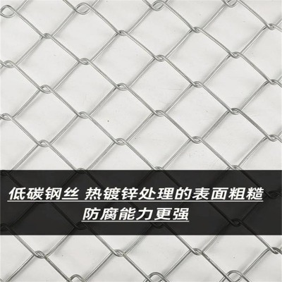 河北煤礦支護(hù)網(wǎng)廠家供應(yīng)上海綠色球場(chǎng)護(hù)欄重慶操場(chǎng)菱形孔圍欄