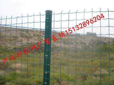 ���������o�ھW��h�Bֳ���ھW���ݽ��ܺ��m�W