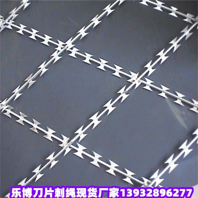 �½������W��Ȫ�������o�W������Ƭ���K