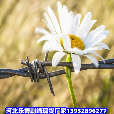 ���ɹŹ�·�̾W���m����\䓽z�W�~���ż{��\�F�z�W