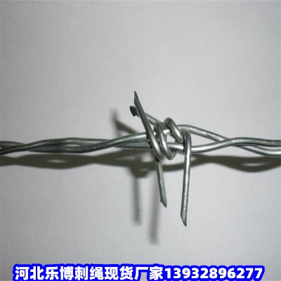 ���������I�F�z�̾W(w��ng)��ľ˹Ȧ�ش��F�zĵ����Ȧɽ�B(y��ng)�o(h��)�F��޼