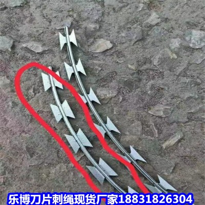 河北鍍鋅刺繩廠家 任丘滾籠鐵絲防爬網(wǎng) 黃燁滾籠刀片刺繩