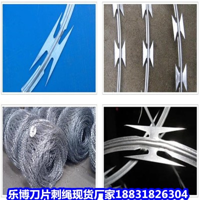 河南鍍鋅刺繩廠家 孟州滾籠鐵絲防爬網 禹州滾籠刀片刺繩