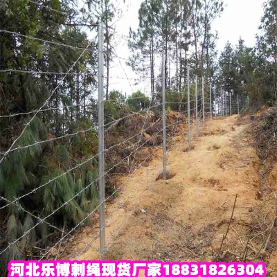 ��������\���K�S�� �F��2.8�����F�̾W ����5����̽z���W