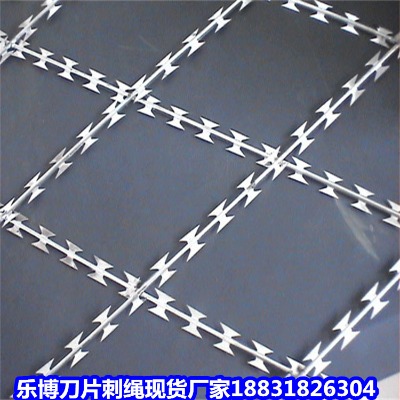 湖南鍍鋅刺繩廠家 郴州12號防護隔離刺網
