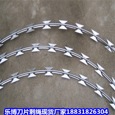 新疆鍍鋅刺繩廠家 阿勒泰6公斤機場刀片刺繩